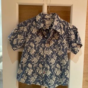 Boys Peek Collard Shirt. 100% Cotton